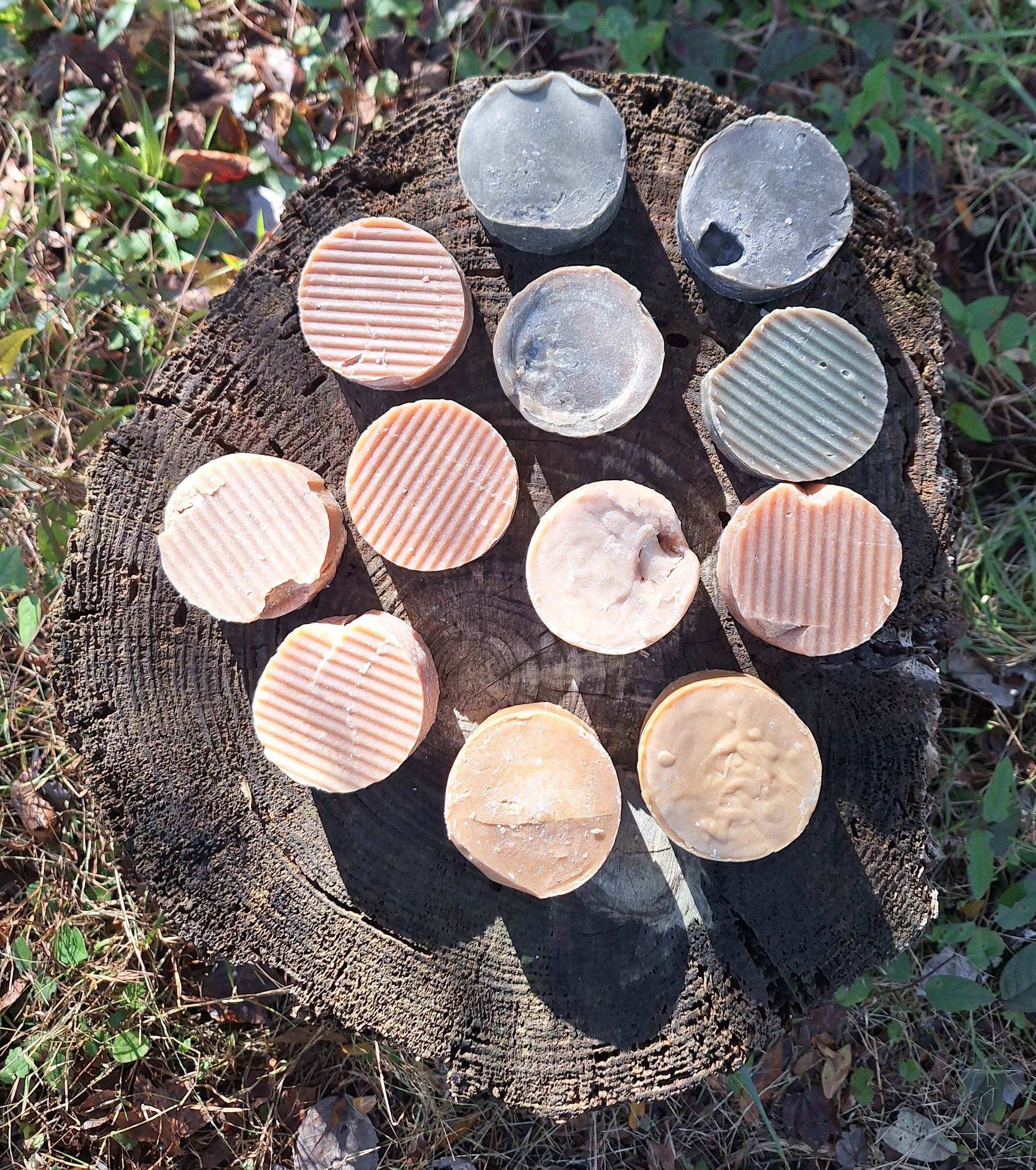 Collection of perfectly unique goat milk shampoo on a tree stump with a natural outdoor background