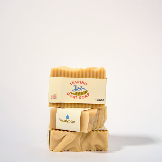 Eucalyptus Soap Bar