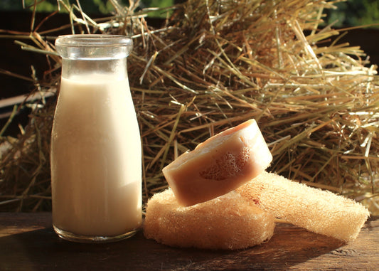 Black Spruce Anise Loofah Soap Bar