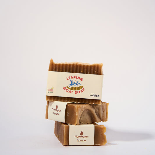 Norwegian Spruce Soap Bar