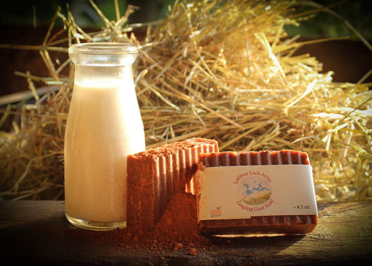 Cedar Saffron Moroccan Red Clay Soap Bar