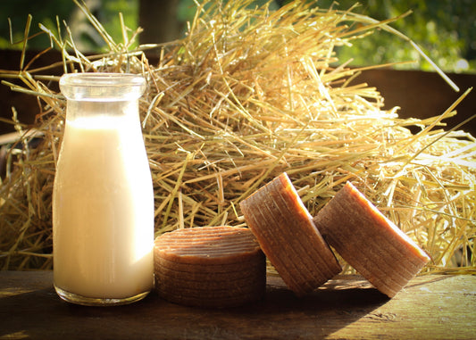 Apple Sage Shampoo Bar