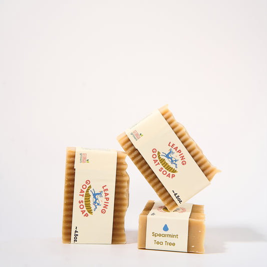 Spearmint Tea Tree Soap Bar