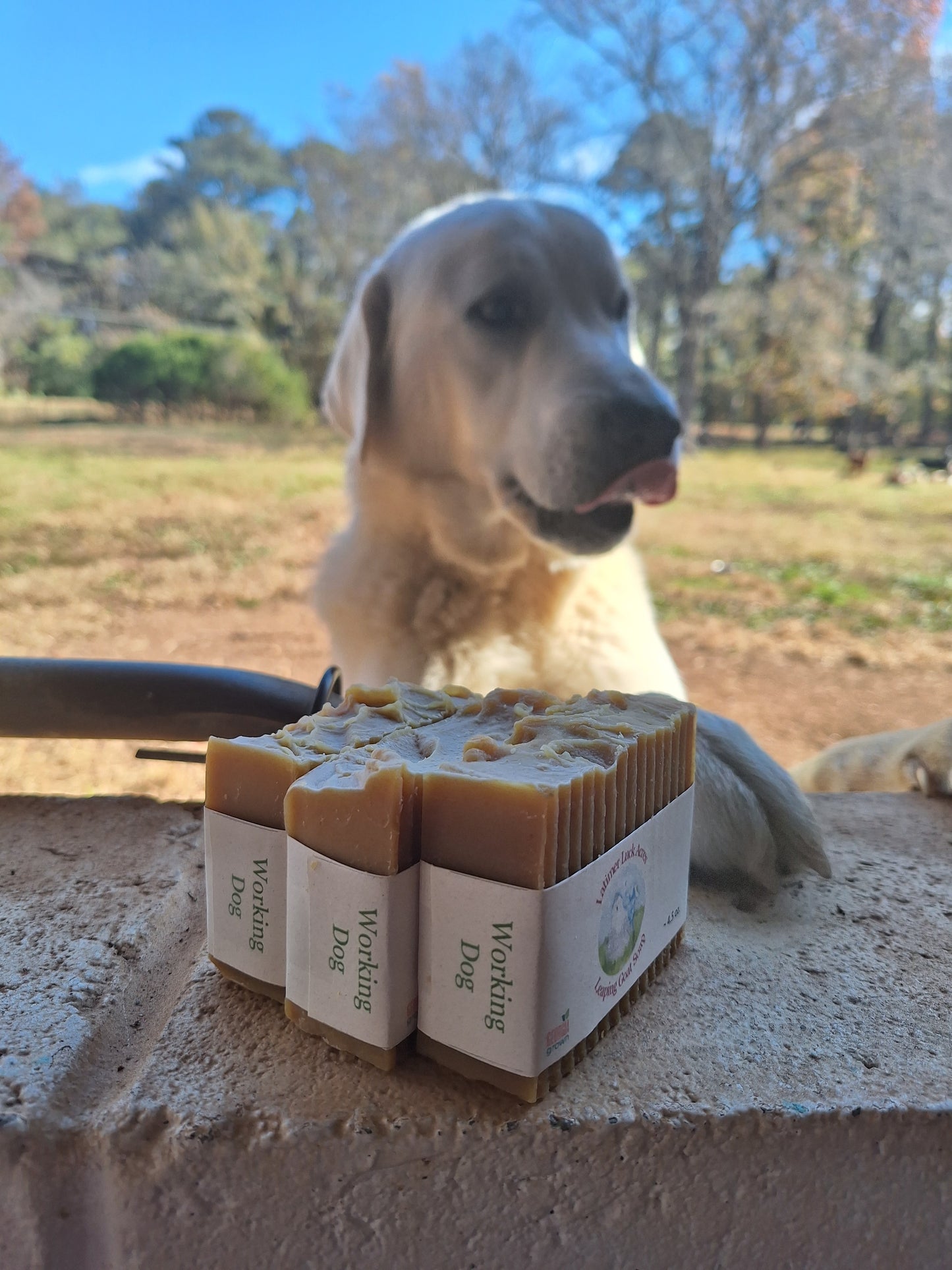 Working Dog Shampoo Bar